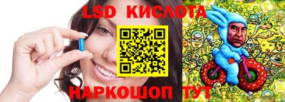 твердый Гатчина