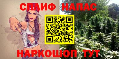 твердый Гатчина