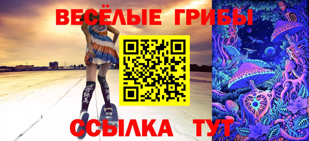 Галлюциногенные грибы ЛСД  Галлюциногенные грибы Psilocybe  купить закладку  Избербаш  Вход с VPN 