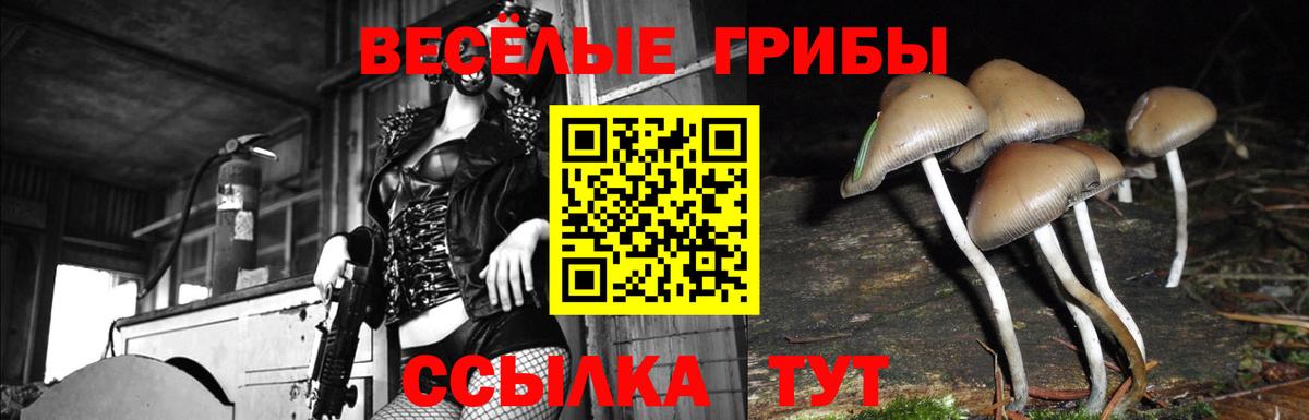 Псилоцибиновые грибы Magic Shrooms Избербаш